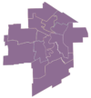 Mayoral Candidates